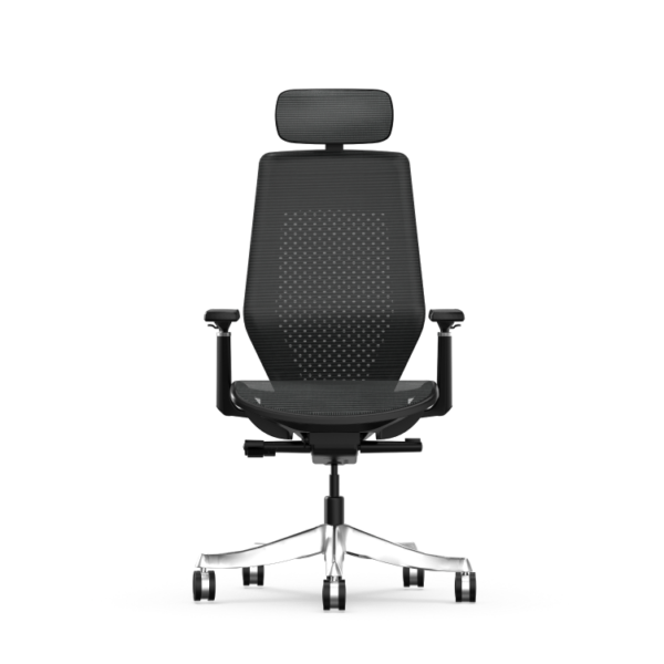 Mesh Ergonomic Office Chair