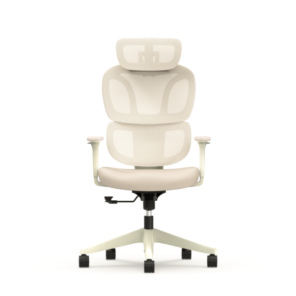 Colorful Ergonomic Chair with Cloud-like Cushion