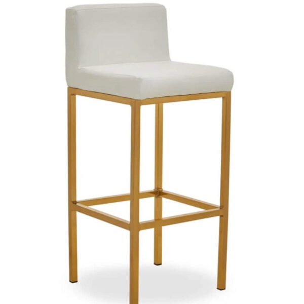 Brianna Gold Barstool