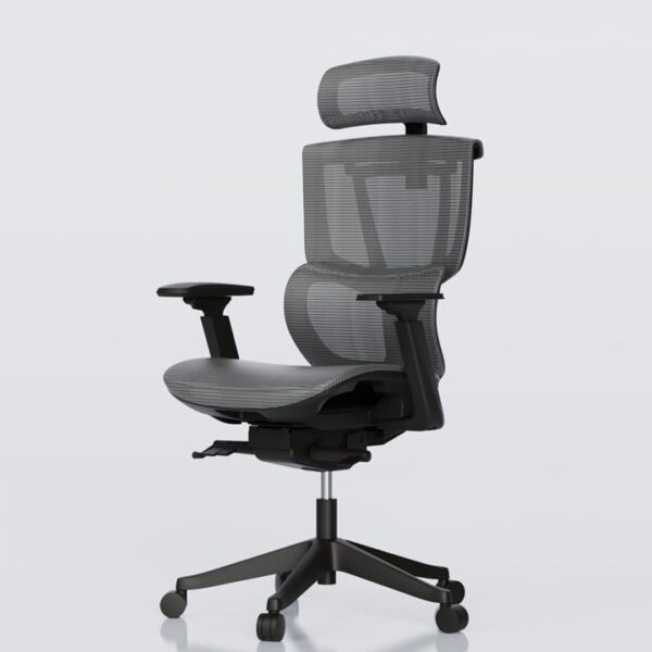 Multi-adjustable Ergonomic Chair with Split Lumbar Support